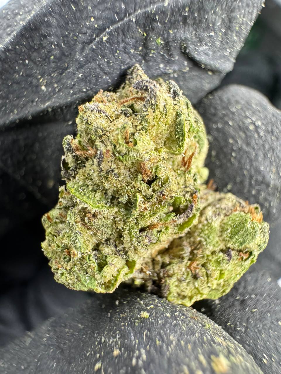 Black Runtz - THCA Flower - Greenhouse Gold Nuggets