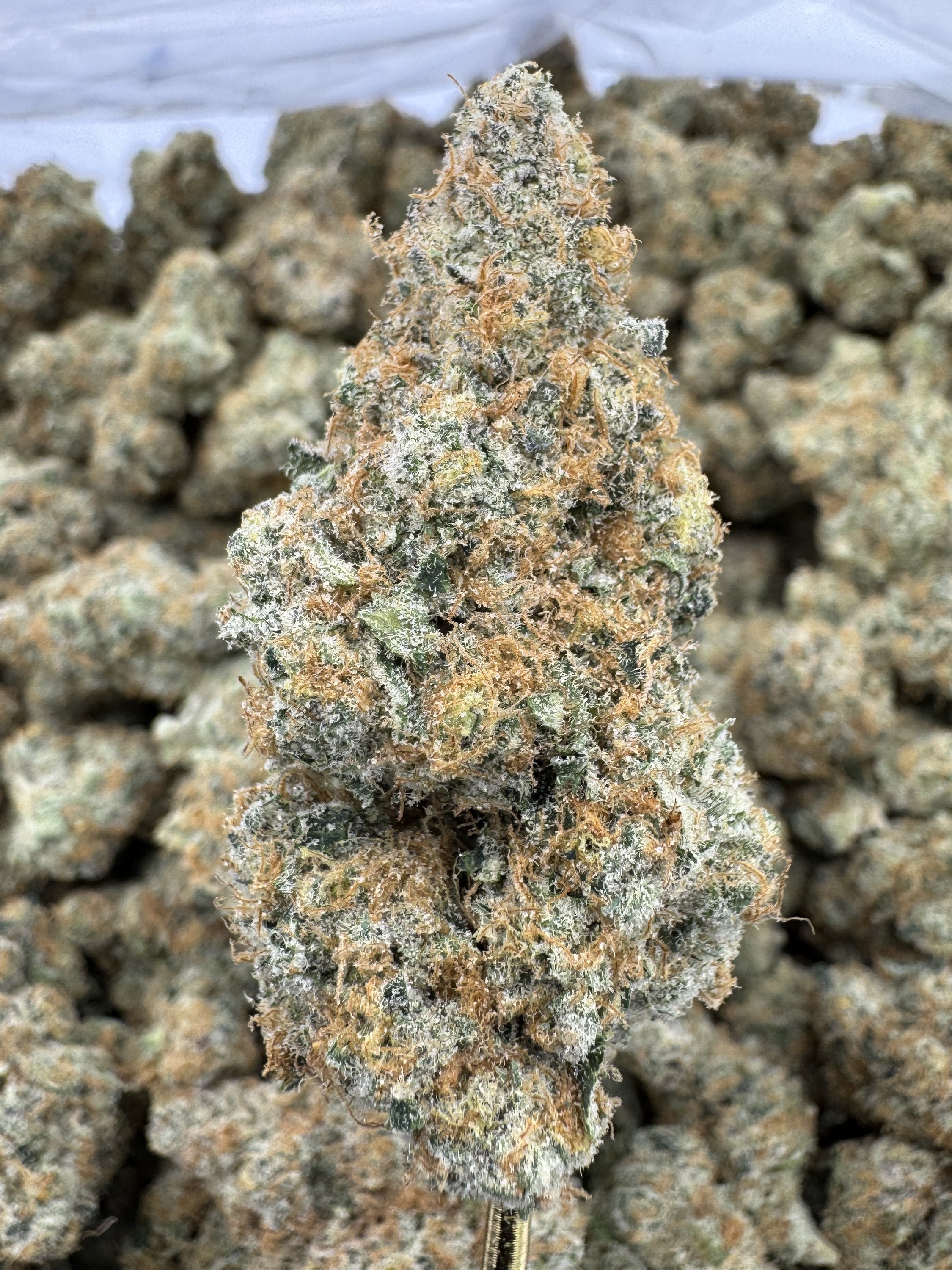 Blackberry Super Boof - THCA BULK Flower - Indoor Exotic