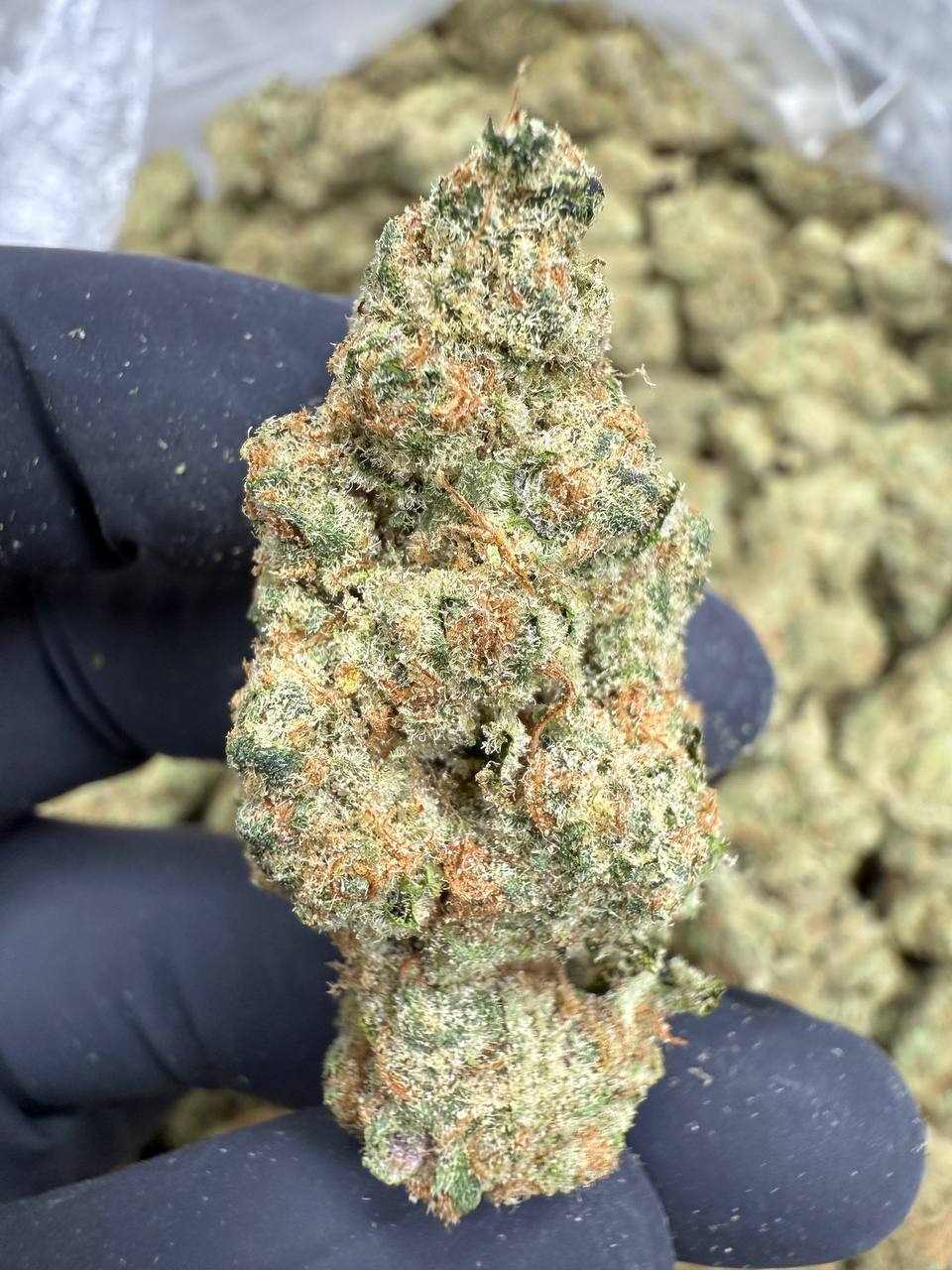 Blackberry Super Boof - THCA BULK Flower - Indoor