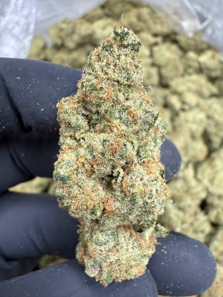 Blackberry Superboof - THCA BULK FLOWER -  AAA INDOOR