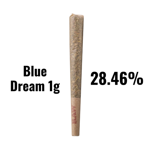 Blue Dream -THCA - 1g