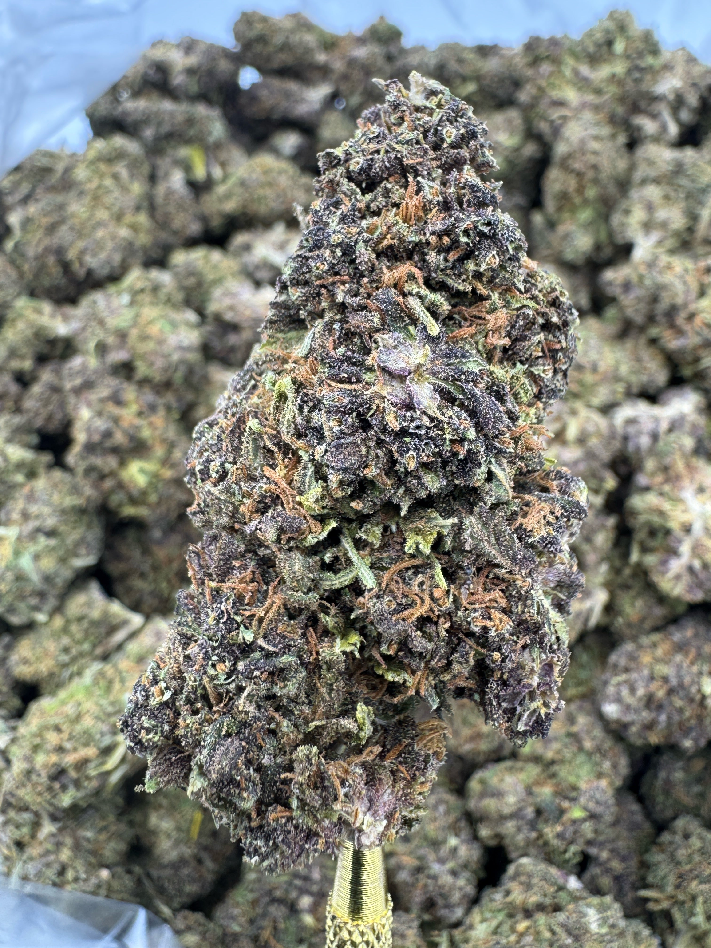 Blue Meringue - CBD Flower - Sungrown Top Cut