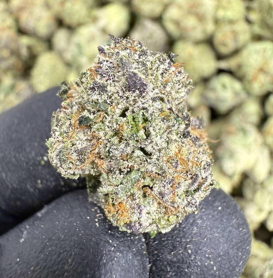 Blue Diamond x White Runtz - Gold Nuggets - THCa Flower Exotic Smalls