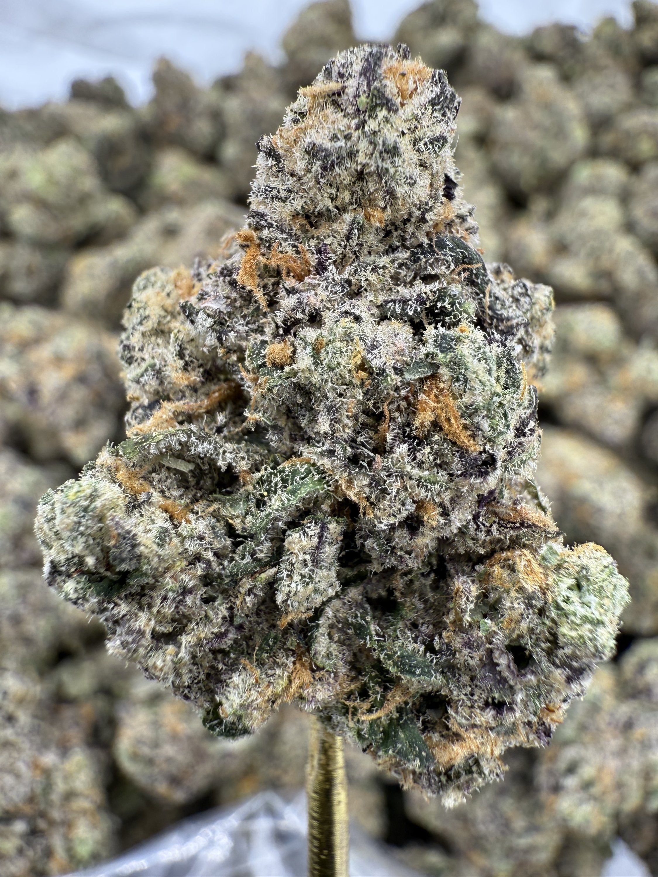 Blue Dream - THCA Flower - Indoor Top Cut Exotic