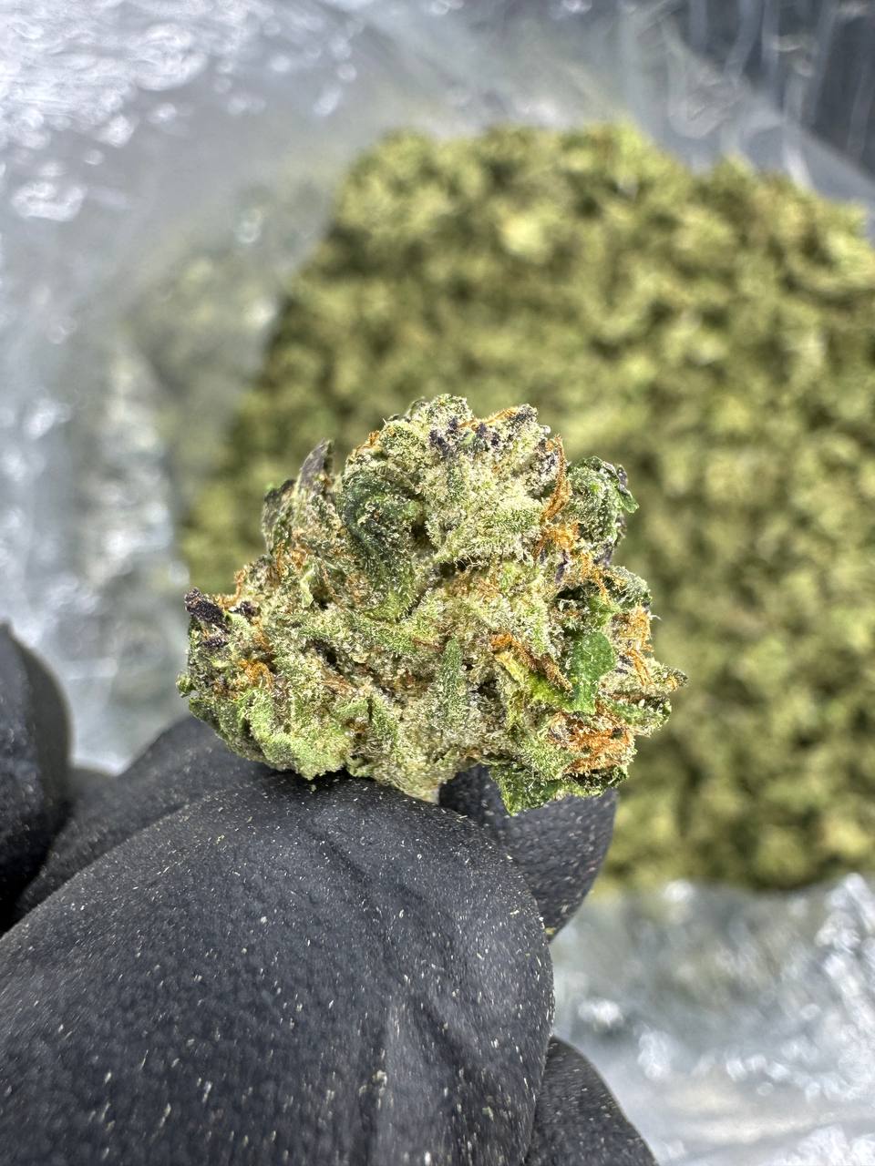 Blue Dream - THCA Flower - Sungrown Gold Nuggets