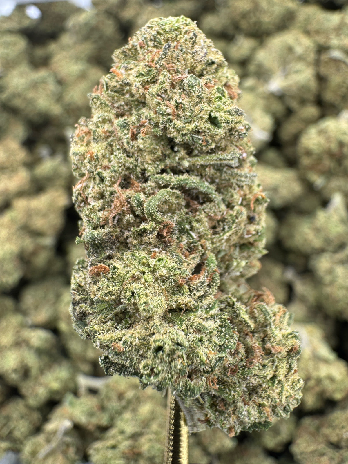 Blue Dream - THCA Flower - Greenhouse Top Cut