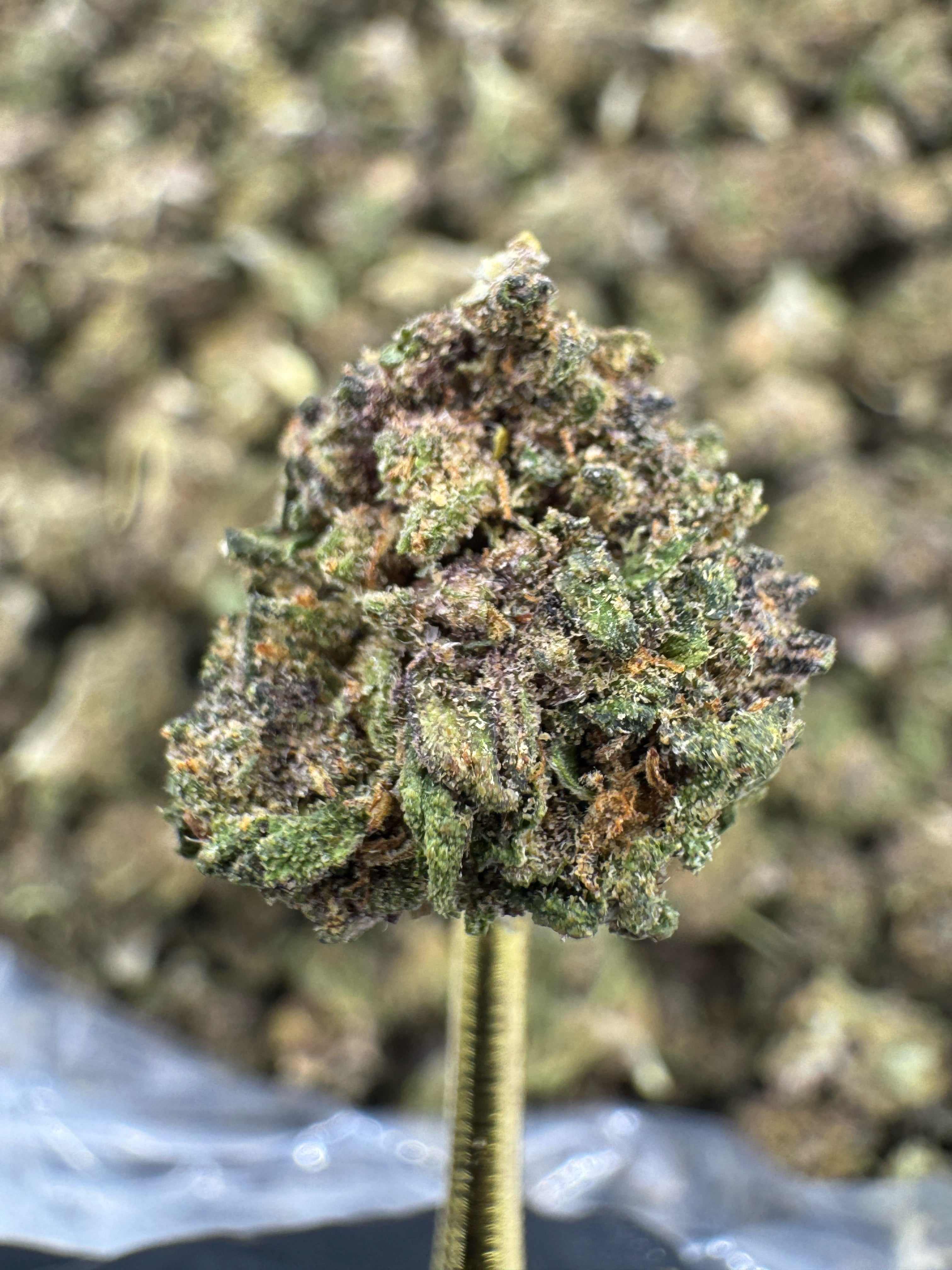 Blue Meringue - CBD Flower - Sungrown Gold Nuggets