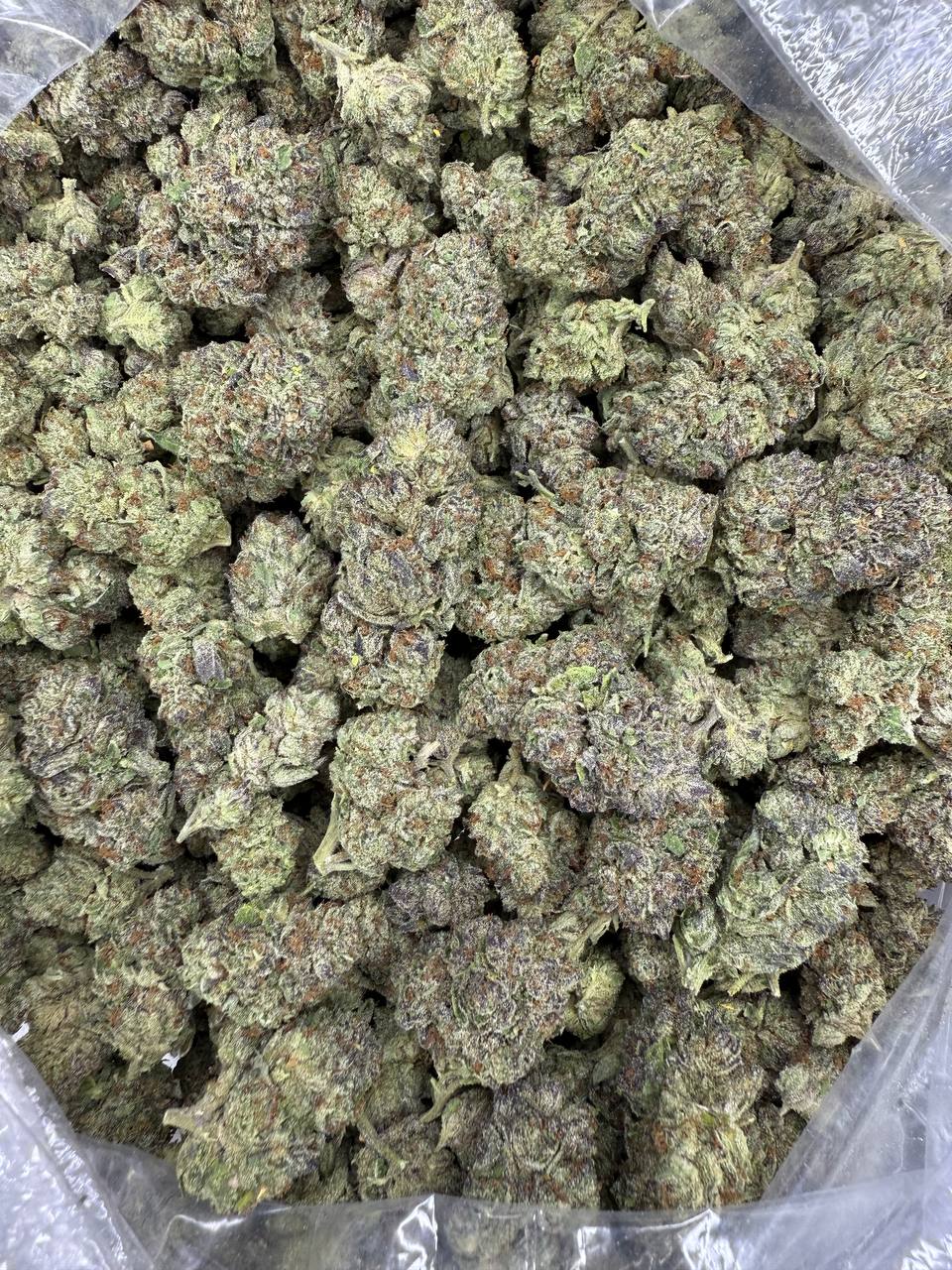 Blue Nerds - THCA BULK Flower