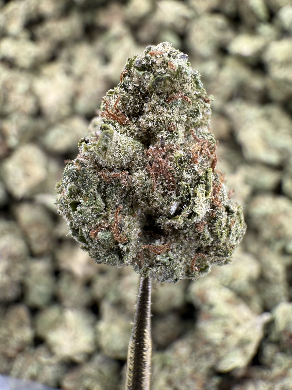 Blue Runtz - THCA Flower - Greenhouse Gold Nuggets