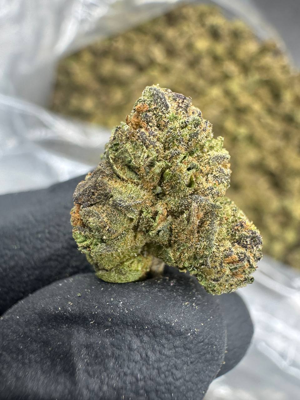 Blue Zushi - Gold Nuggets - THCa Flower CLASSIC RESERVE SMALLS