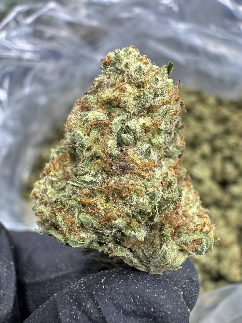Blueberry Eclair - THCA BULK Flower - Indoor Mediums