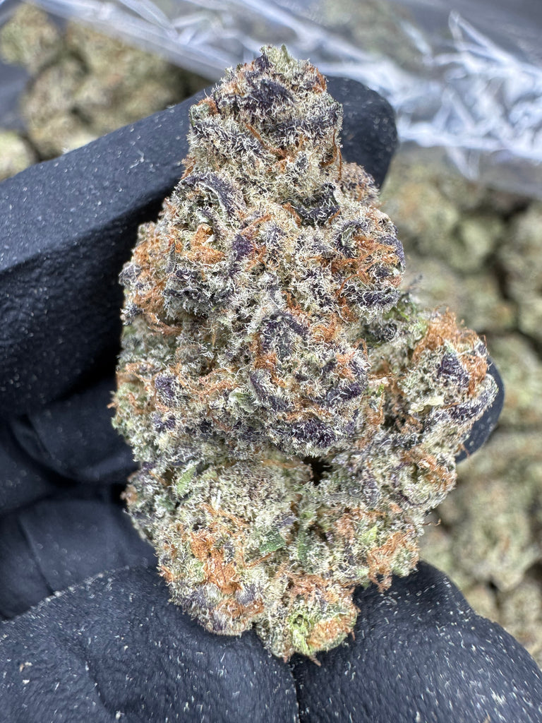 Blueberry Muffin - THCA BULK FLOWER - EXOTIC INDOOR