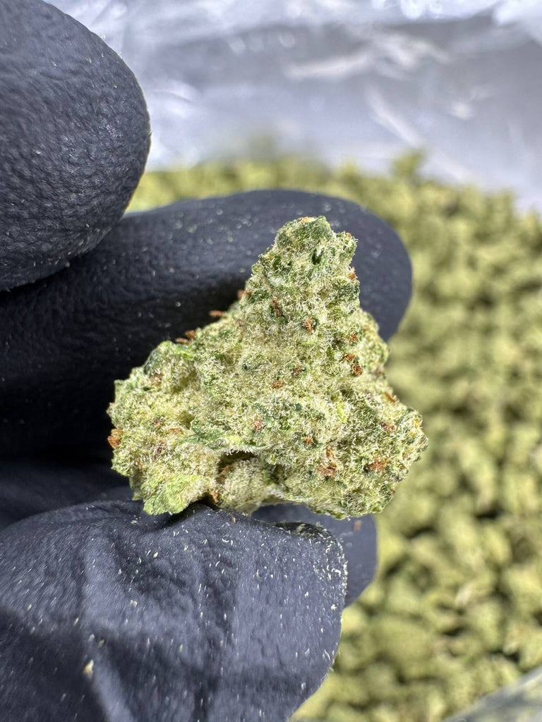 Blueberry Muffin - Gold Nuggets - THCa Flower TOP SHELF SMALLS