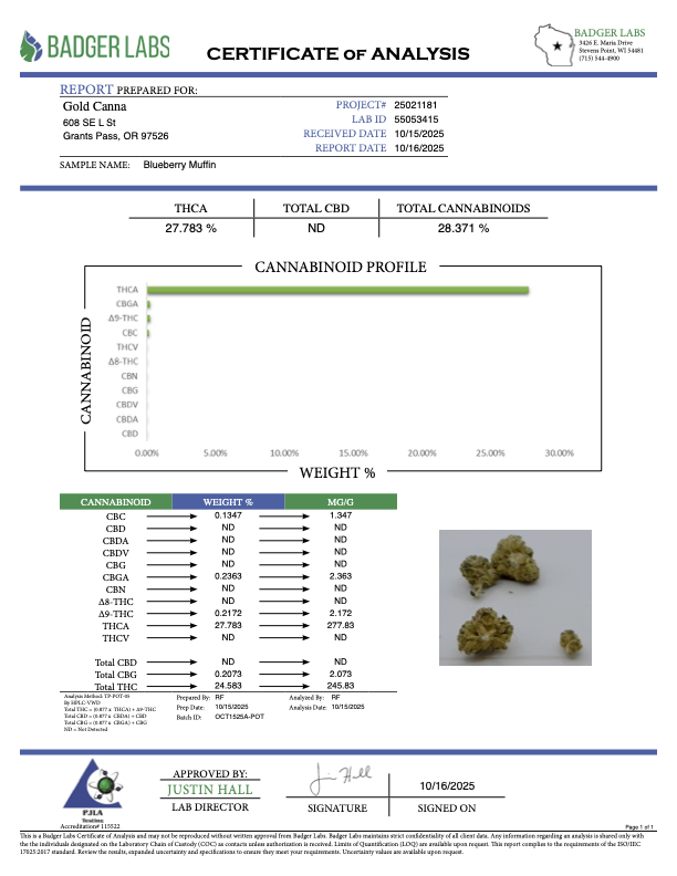 Blueberry Muffin - Gold Nuggets - THCa Flower TOP SHELF SMALLS