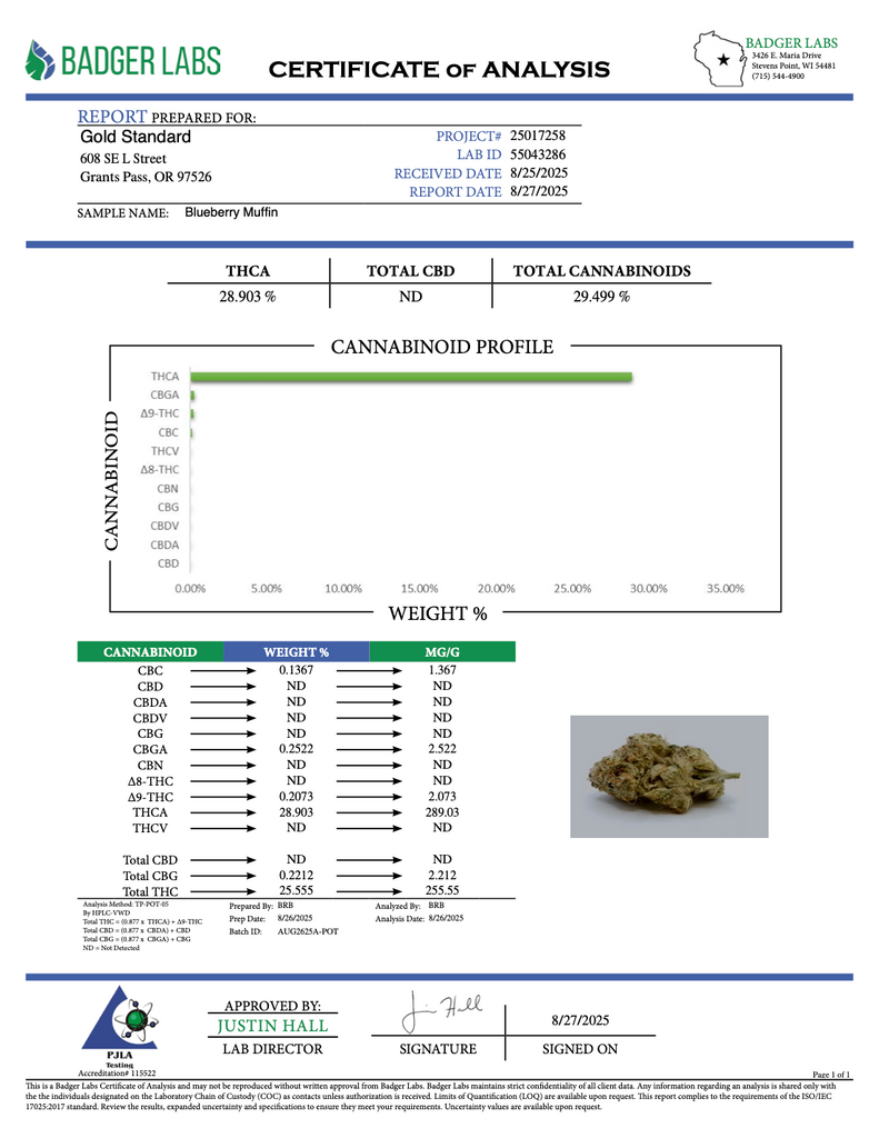 Blueberry Muffin - THCA BULK FLOWER -AAA