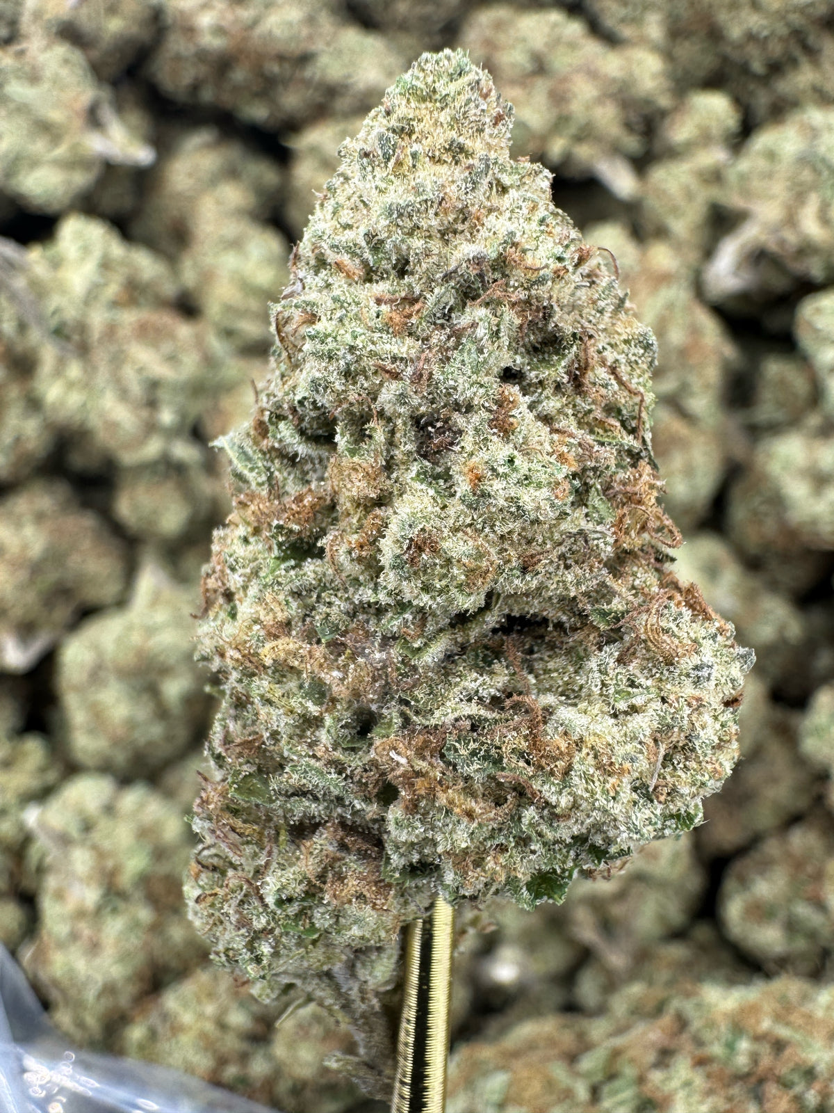 Blueberry Eclair - THCA BULK Flower - Greenhouse