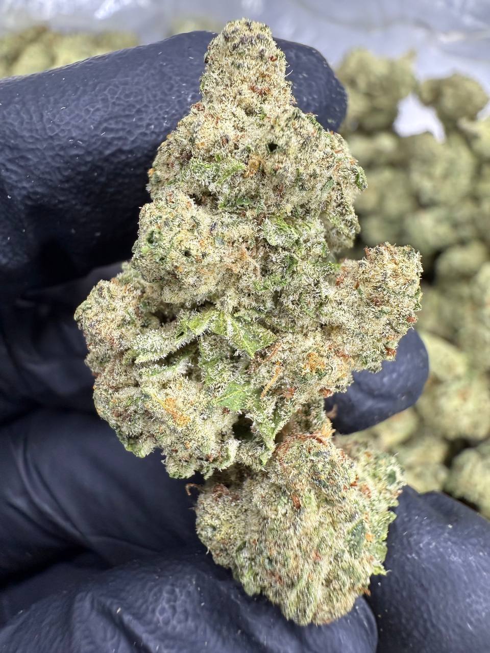Blueberry Muffin - THCA Flower - Greenhouse Top Cut