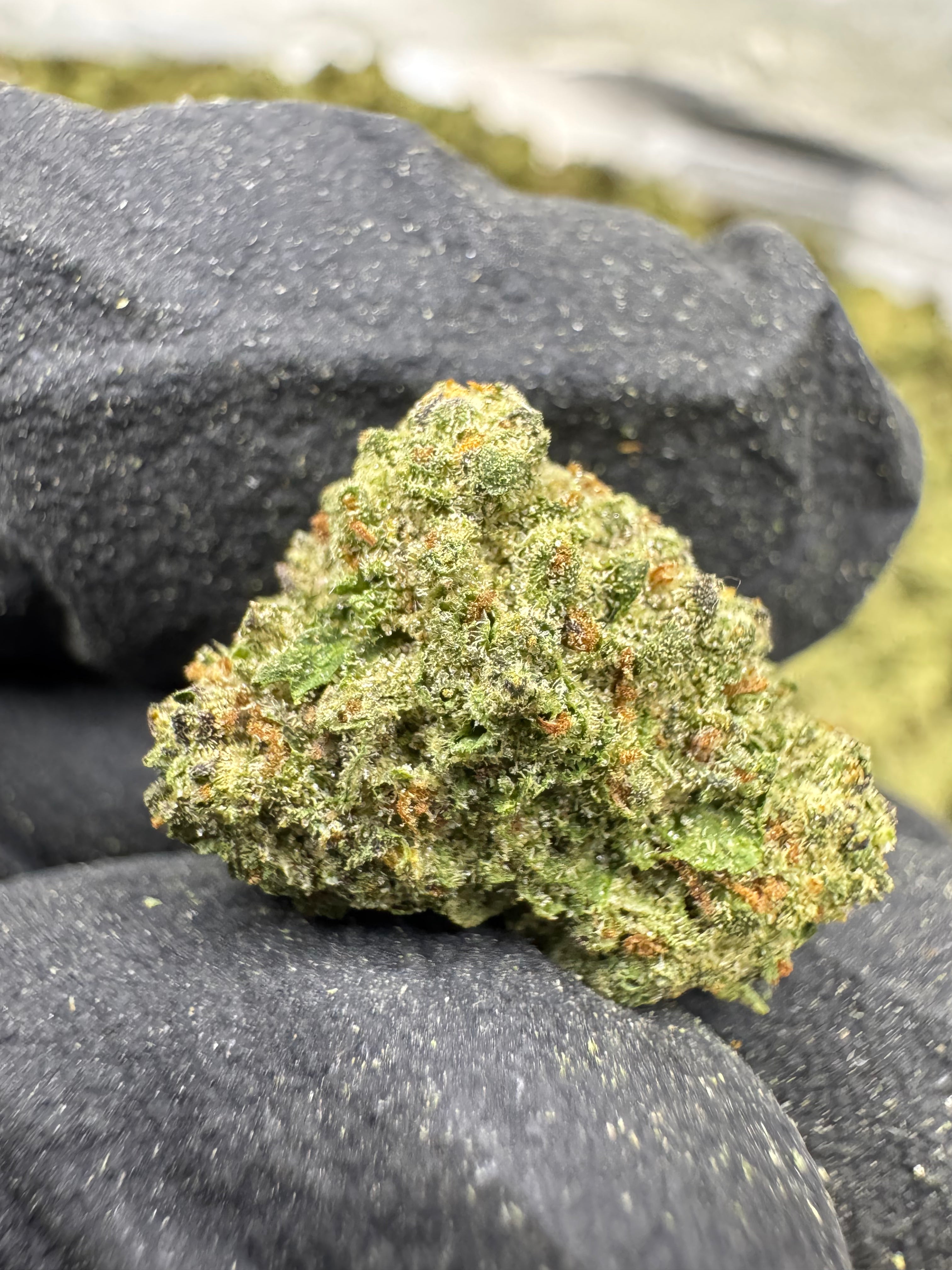 Bubble Bath - THCA BULK Flower - Sungrown Smalls
