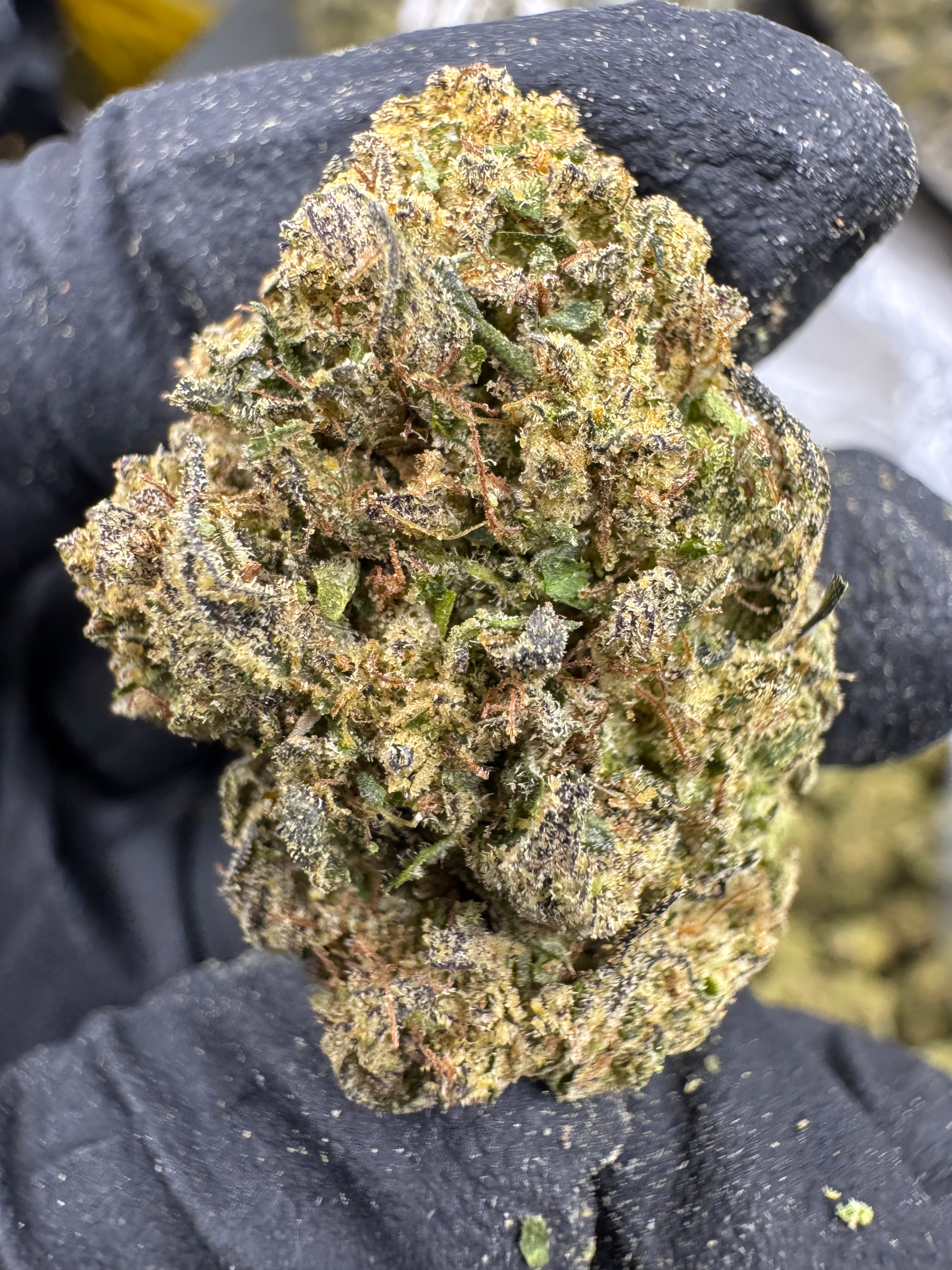 Bubble Bath - THCA BULK Flower - Greenhouse
