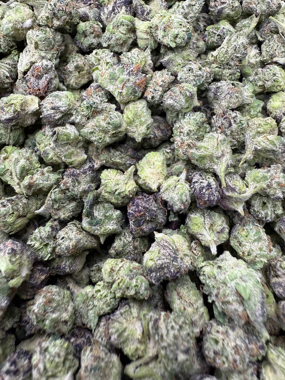 Candy Gas - THCA Flower - Indoor Exotic
