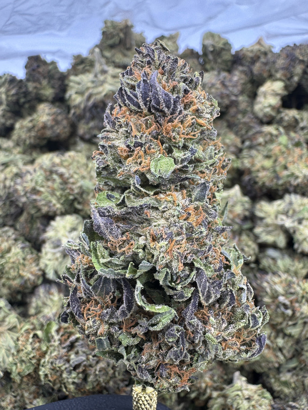 Cadillac Rainbow - THCA BULK Flower - Sungrown