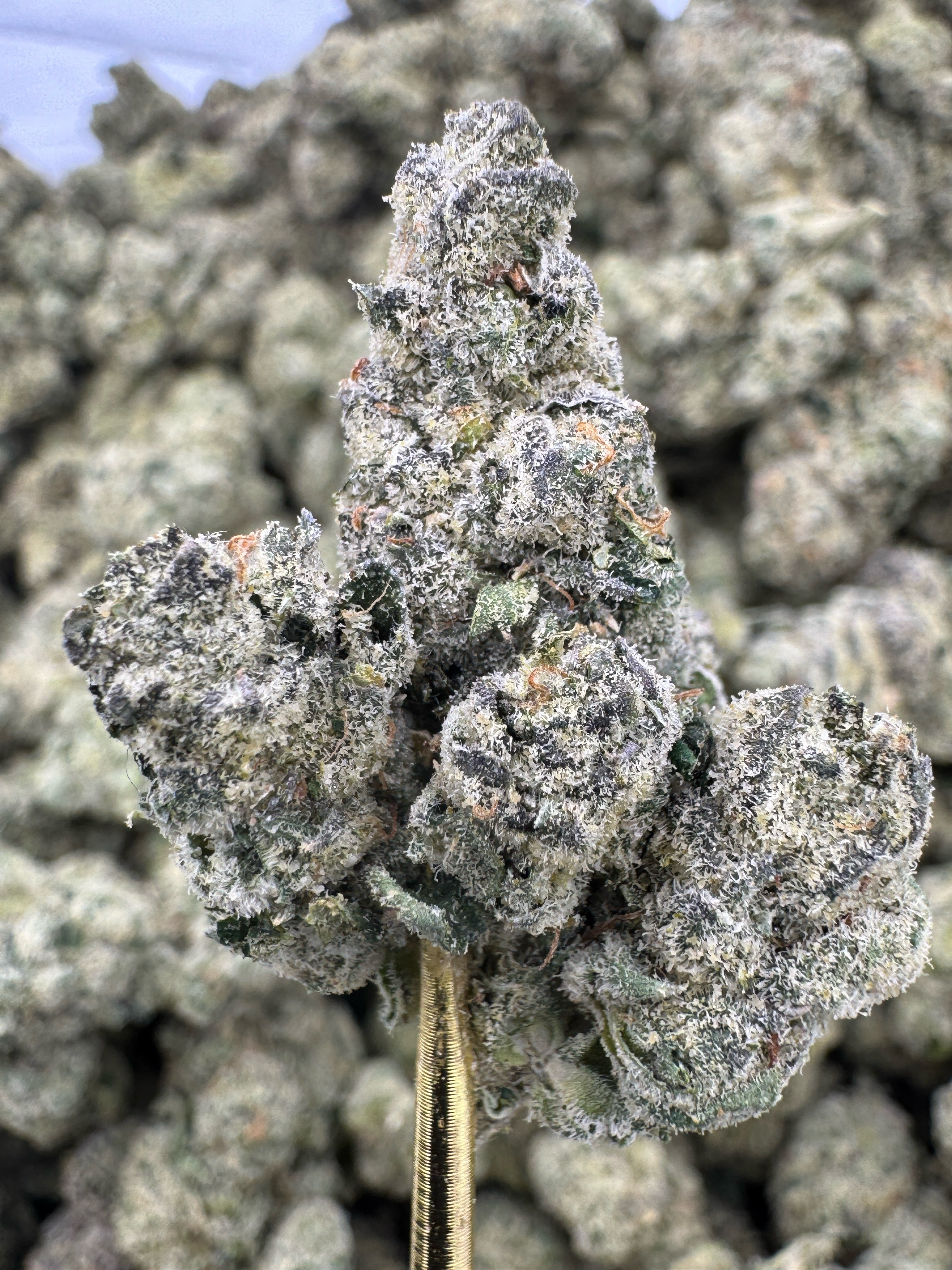 Cadillac Rainbow - THCA Flower - Indoor Exotic Top Cut