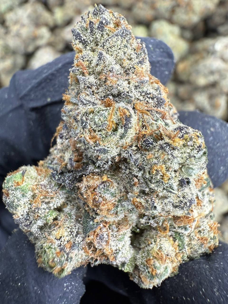 Cadillac Rainbow - THCA BULK FLOWER - EXOTIC INDOOR