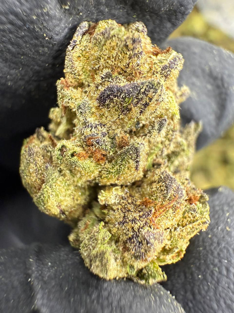 Cadillac Rainbow - Gold Nuggets - THCa Flower TOP SHELF SMALLS