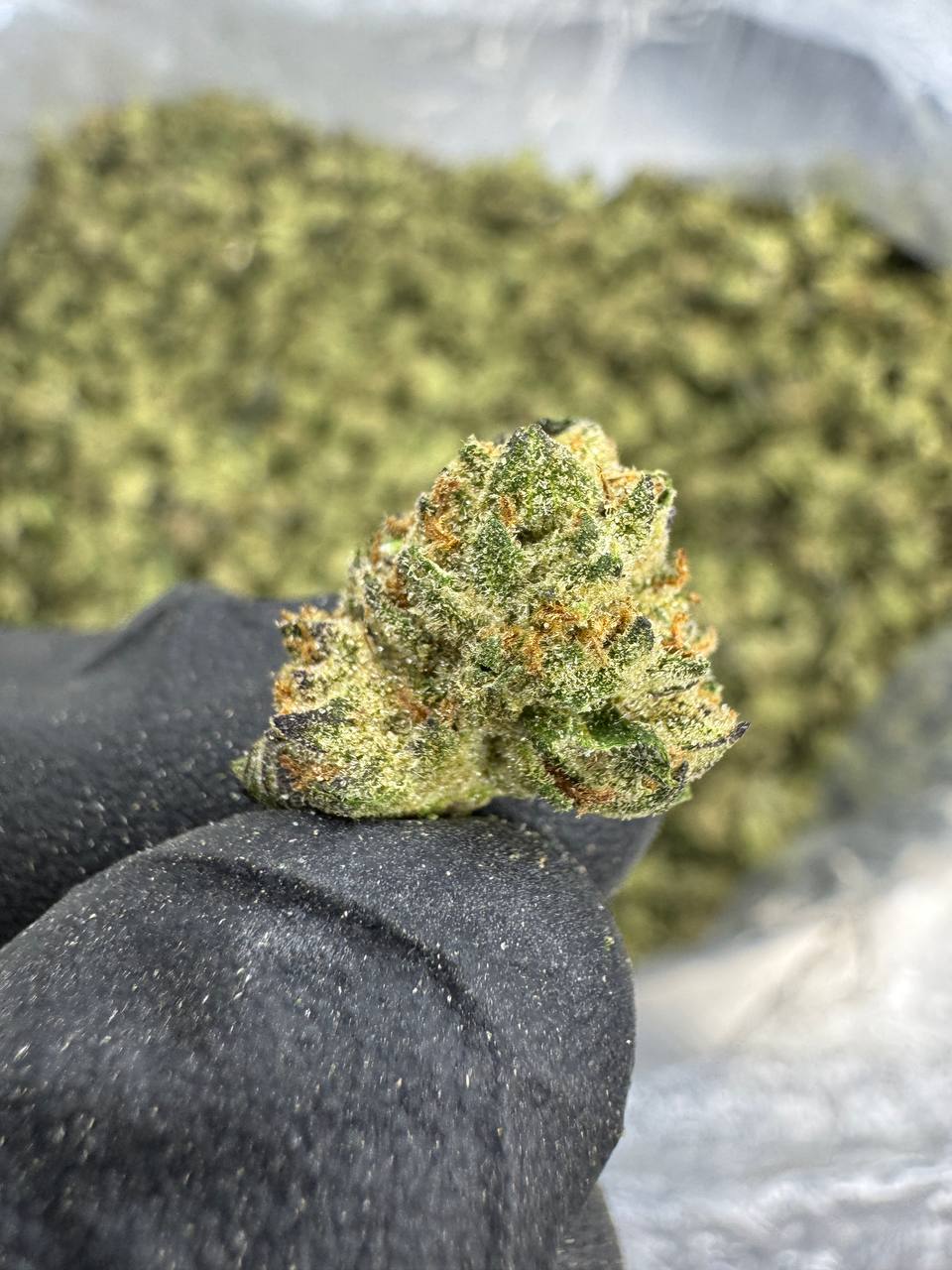 Cadillac Rainbow - THCA BULK FLOWER - TOP SHELF SMALLS