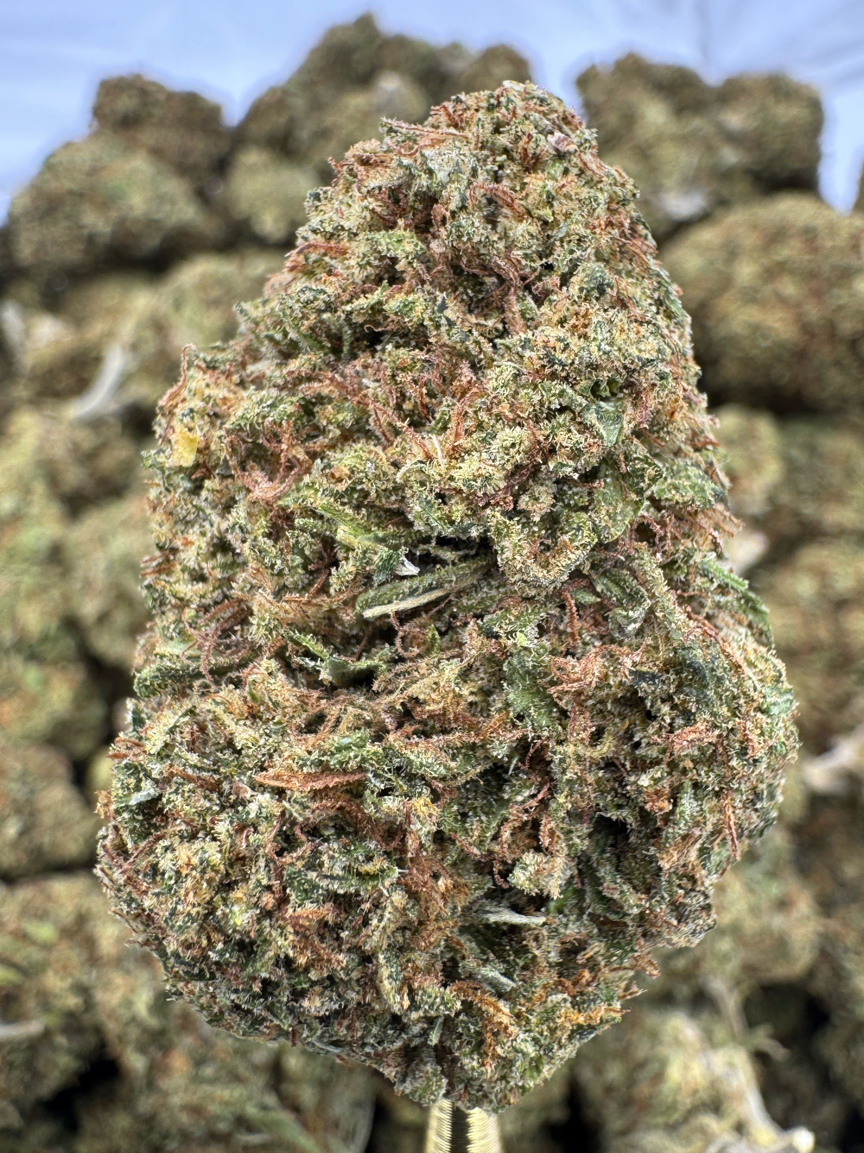 Cakeberry - CBD Flower - Sungrown Top Cut