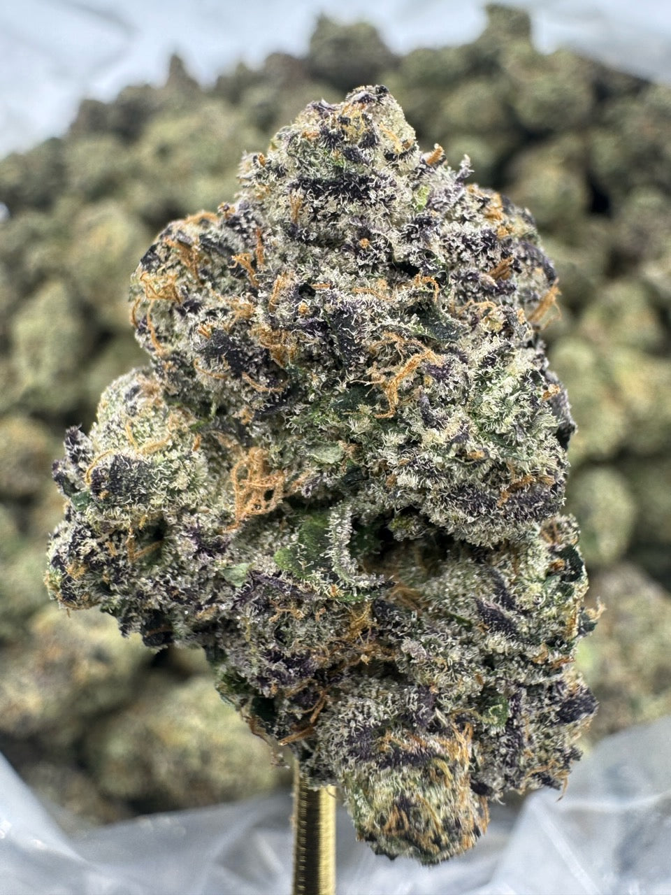 Candy Gas - THCA BULK Flower - Indoor Exotic