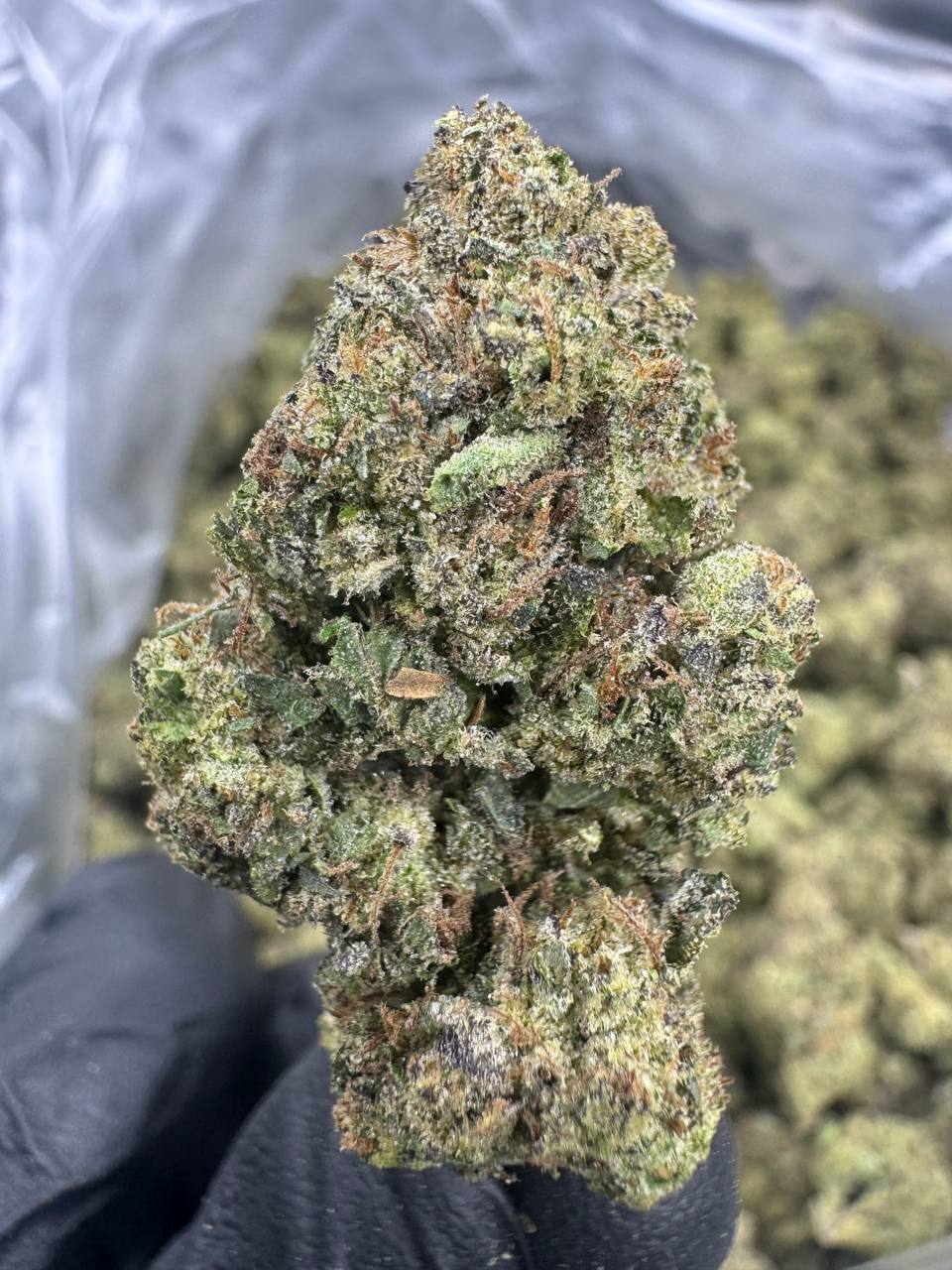 Candy Runtz - THCA Flower - Greenhouse Top Cut