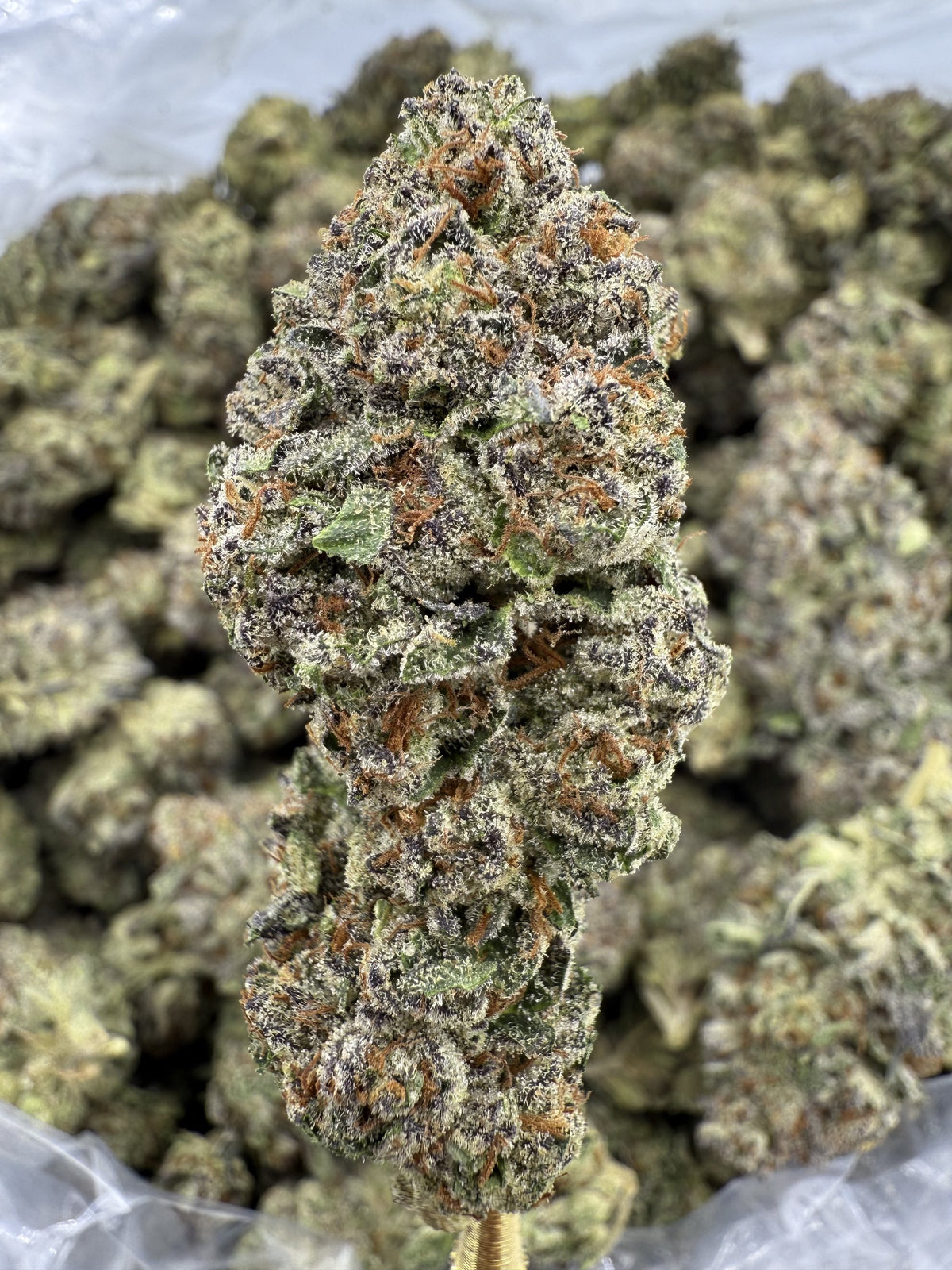 Candy Chrome - THCA BULK Flower - Greenhouse