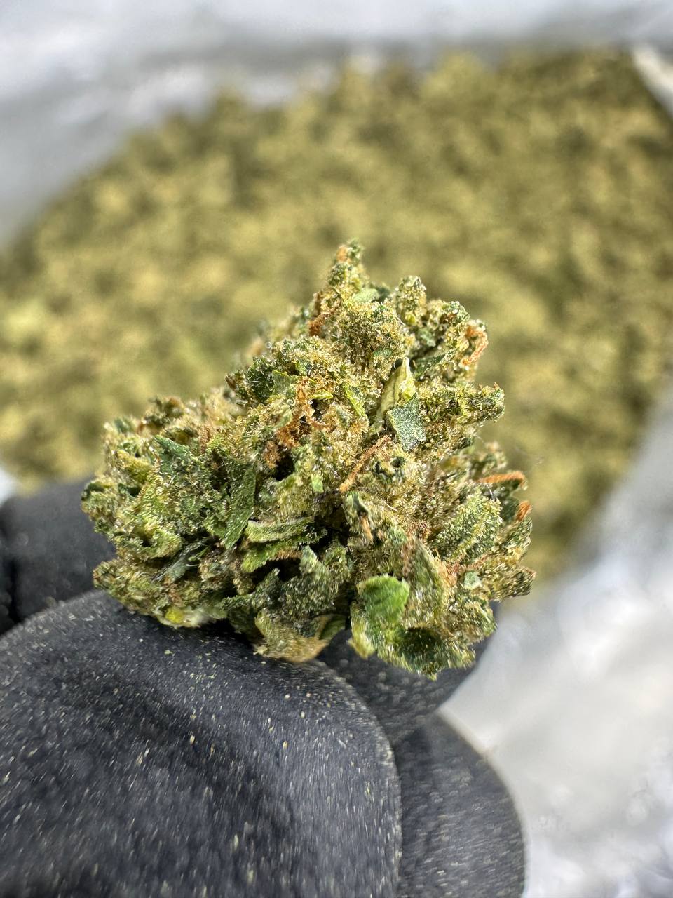 Candy Runtz - THCA Flower - Sungrown Gold Nuggets