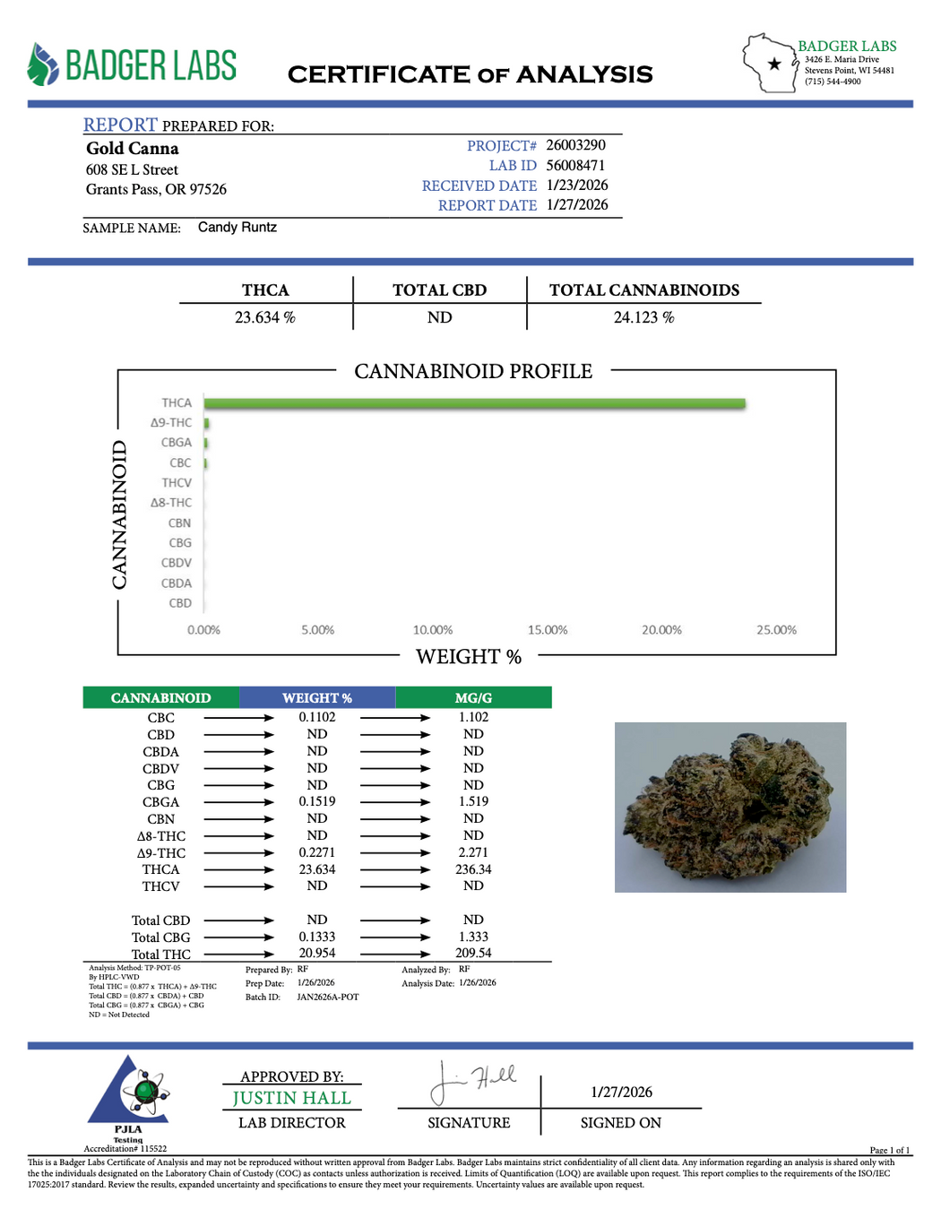 Candy Runtz - Gold Nuggets - THCa Flower CLASSIC RESERVE SMALLS