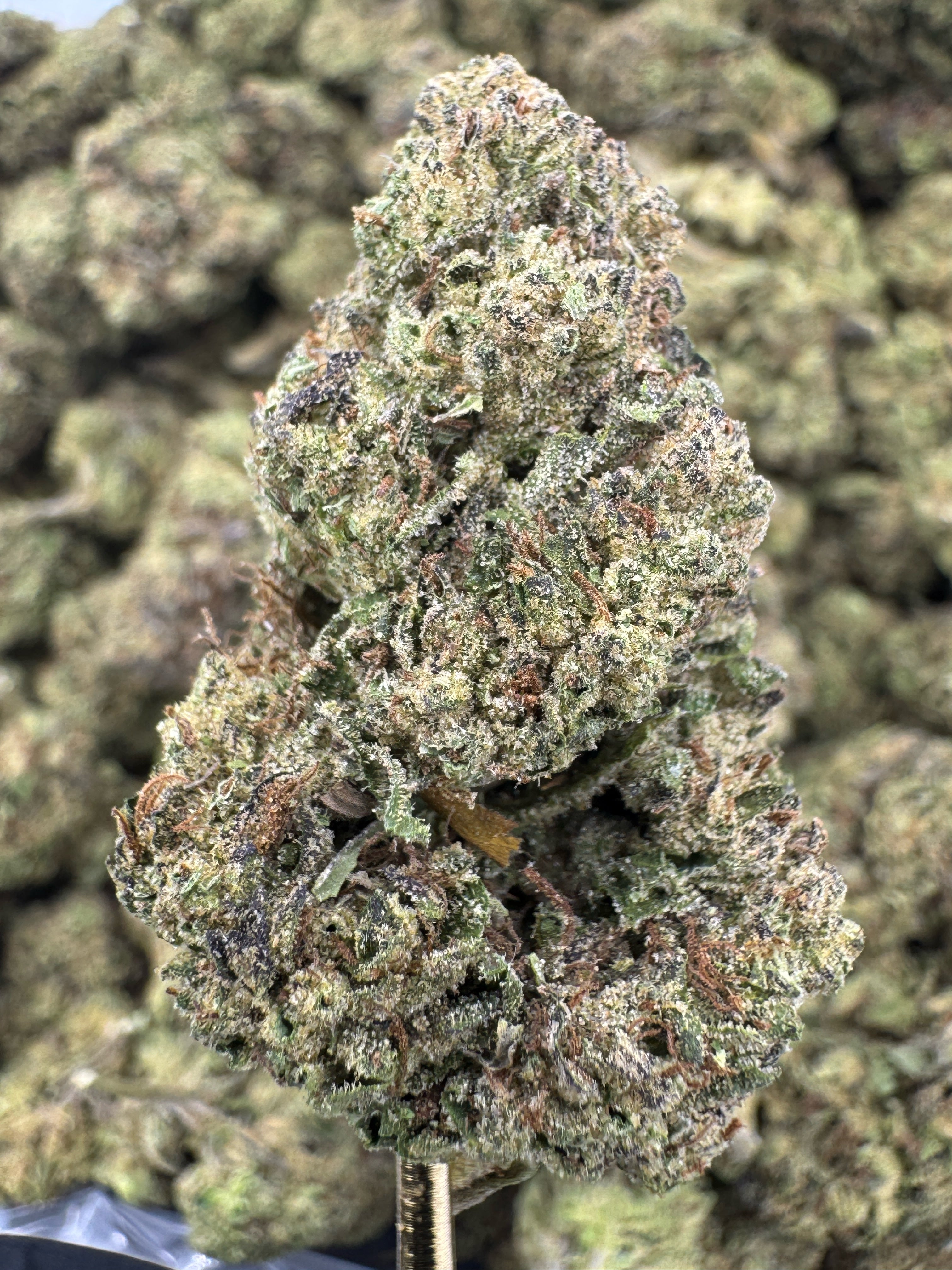 Candy Runtz - THCA BULK Flower - Greenhouse
