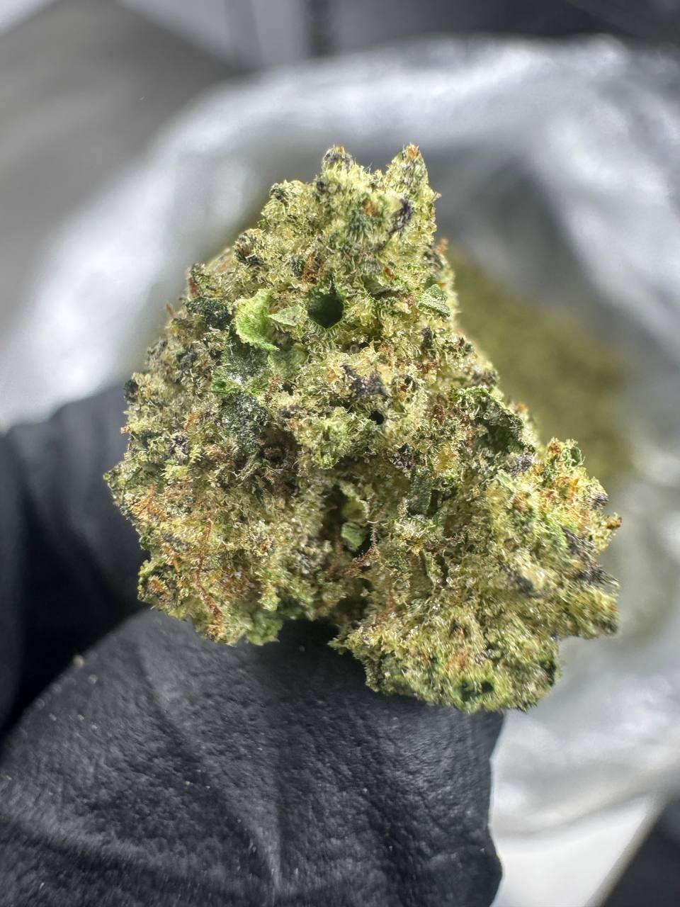 Candy Runtz - THCA BULK FLOWER - TOP SHELF SMALLS