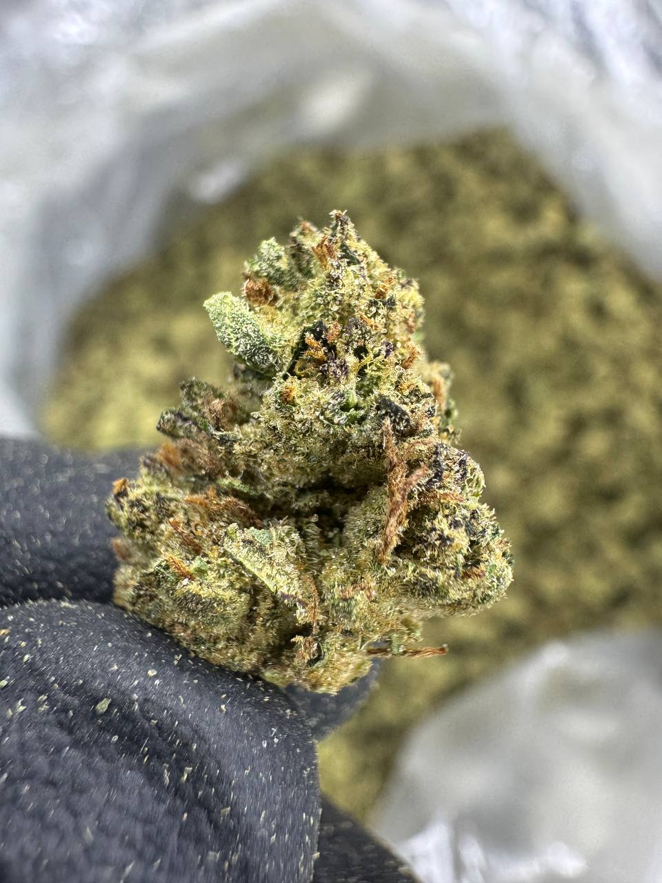Candy Runtz - THCA BULK Flower - Greenhouse Smalls