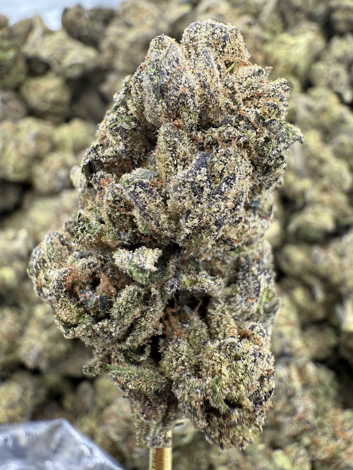 Candyland - THCA Flower - Greenhouse Top Cut