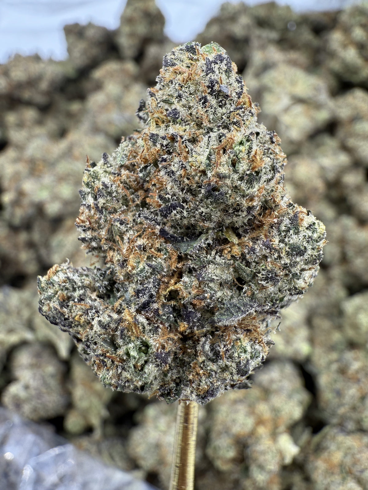Cap Junkie  - THCA BULK Flower - Indoor