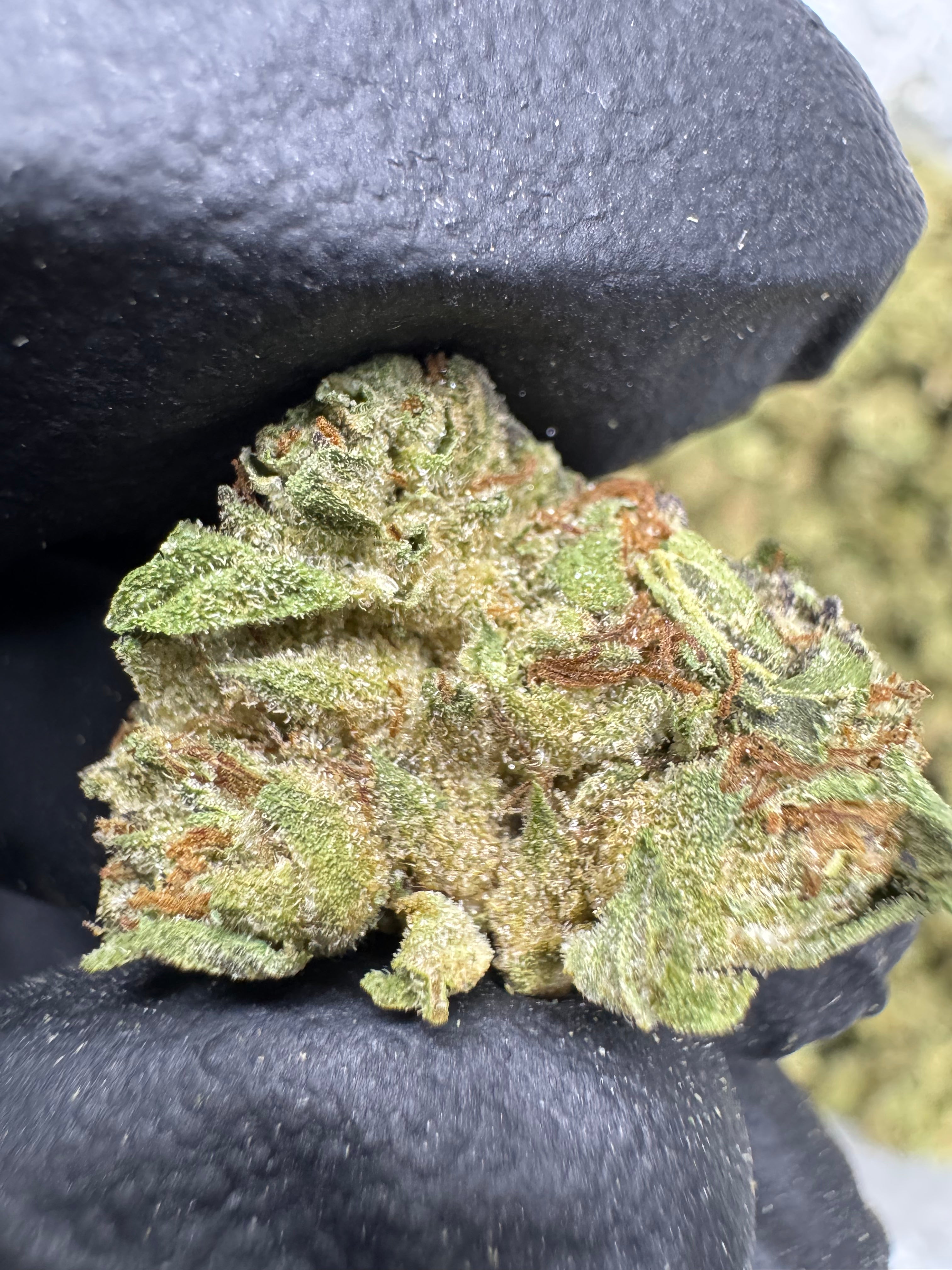 Cereal Milk - THCA Flower - Greenhouse Gold Nuggets