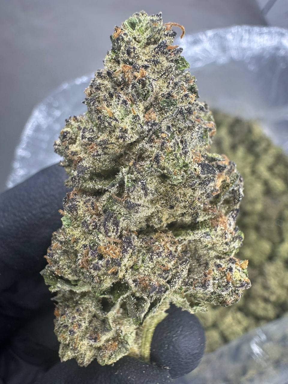 Cereal Milk - THCA BULK Flower - Indoor