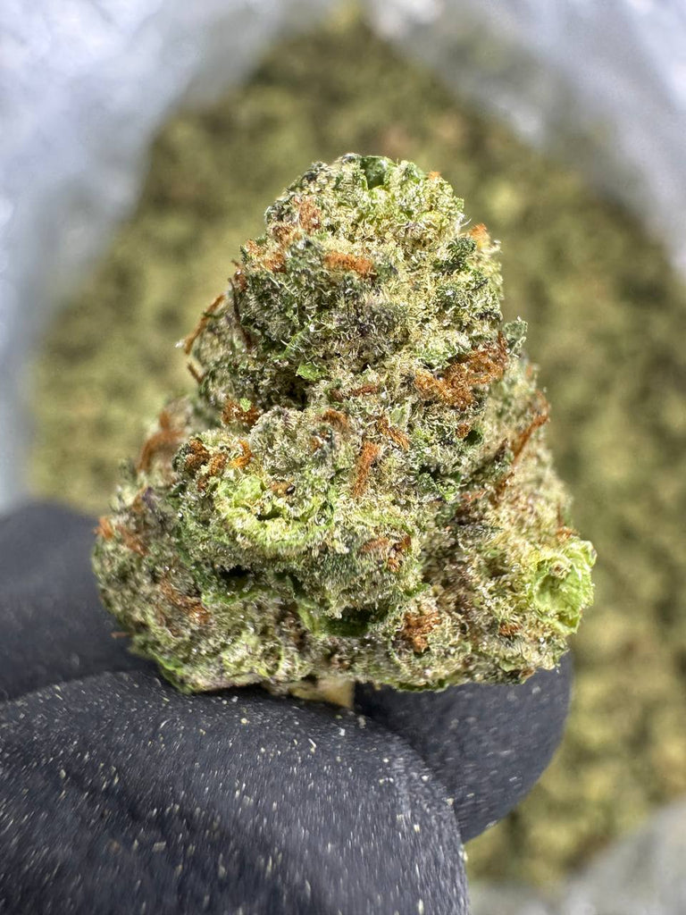 Cereal Milk - THCA BULK FLOWER - TOP SHELF SMALLS