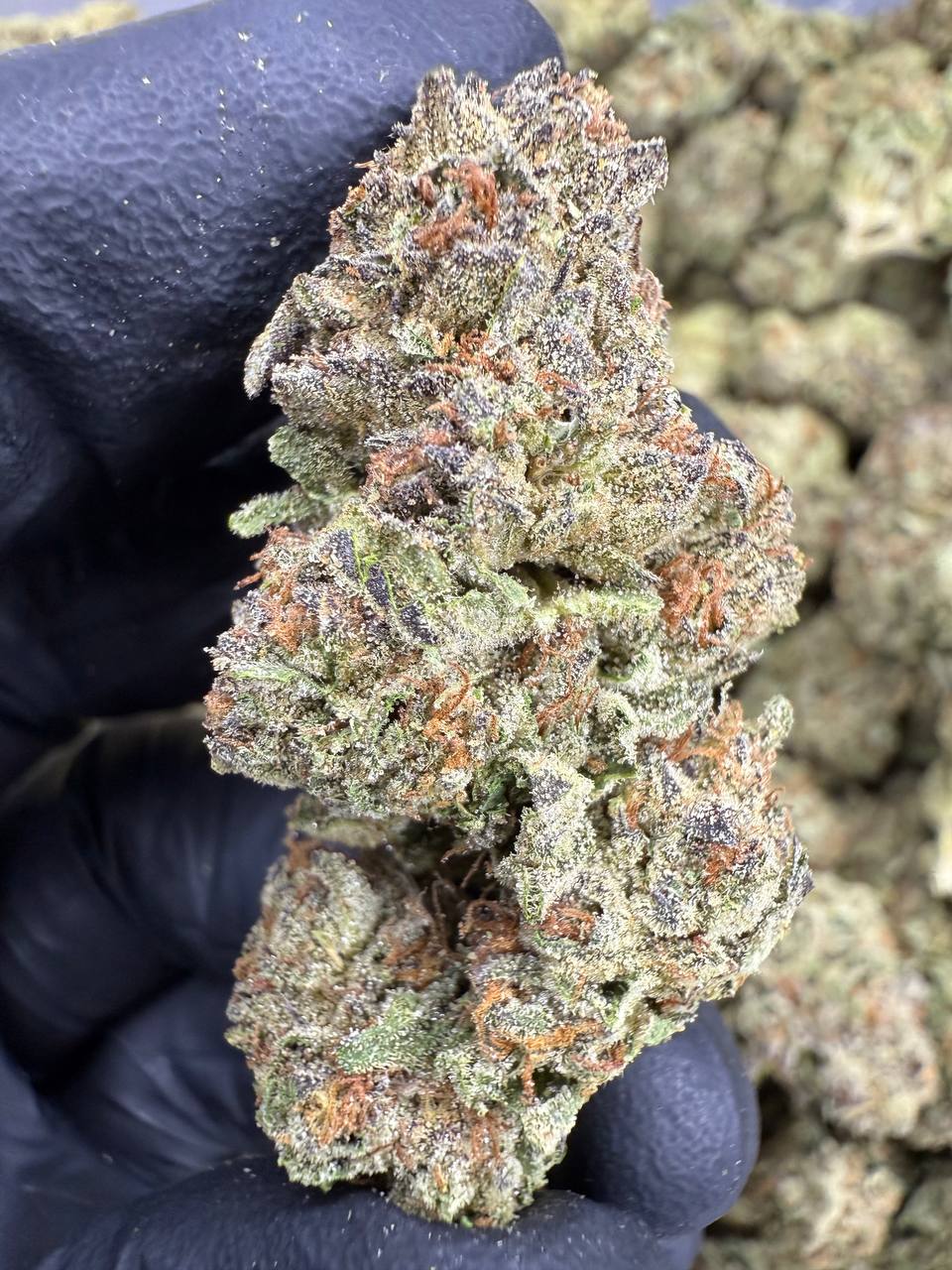 Cereal Milk- THCA FLOWER - TOP SHELF
