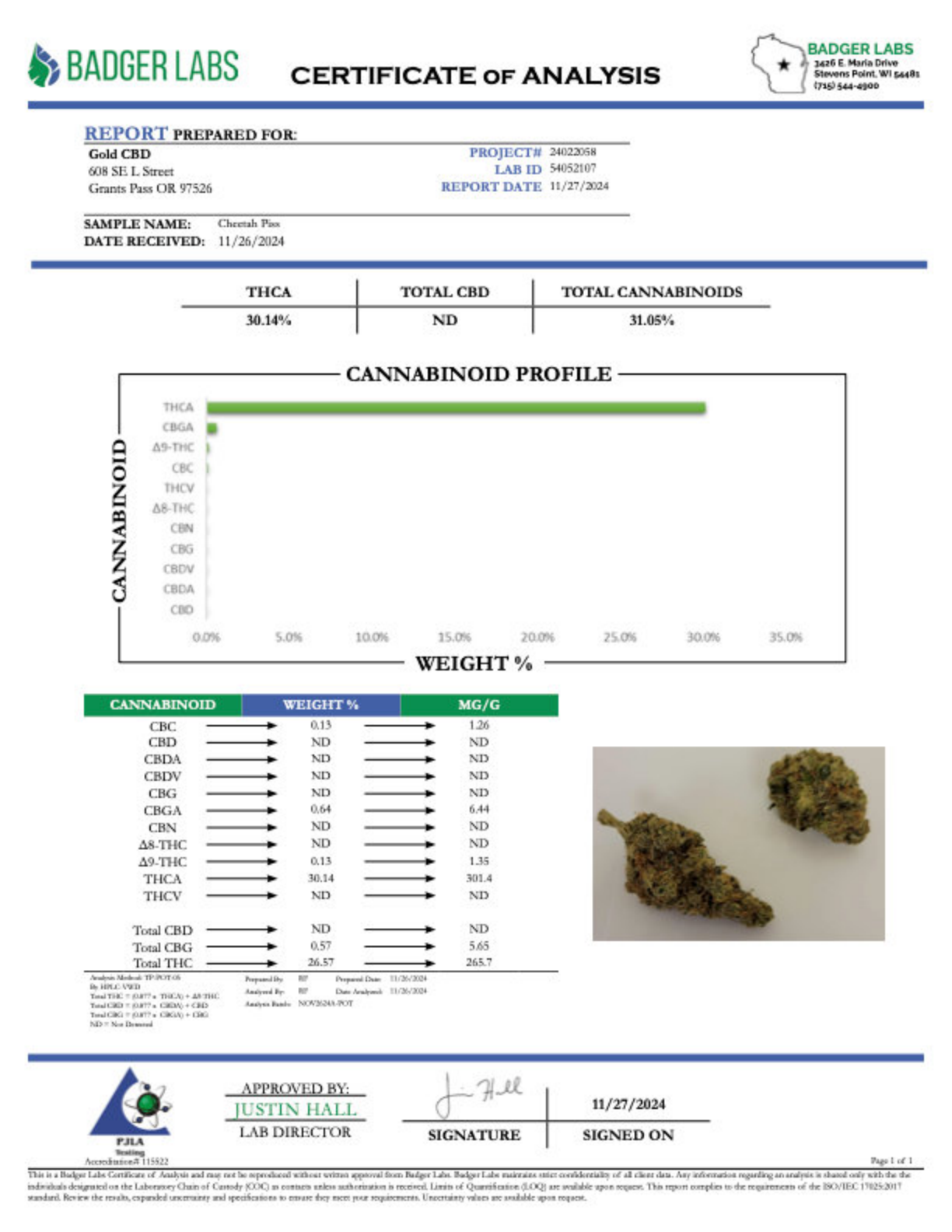 Cheetah Piss - THCA BULK Flower - Greenhouse