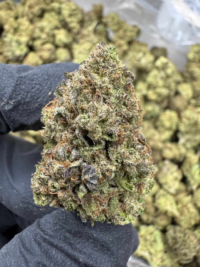 Cheetah Piss- THCA BULK FLOWER - TOP SHELF