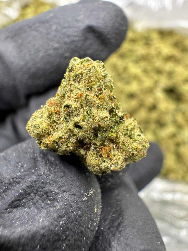 Cheetah Piss - Gold Nuggets - THCa Flower TOP SHELF SMALLS
