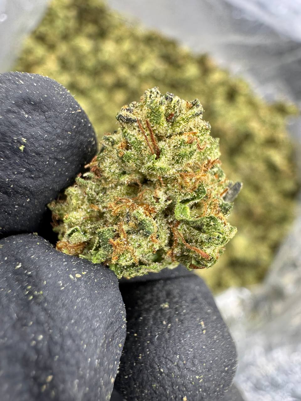 Chemdawg - Gold Nuggets - THCa Flower CLASSIC RESERVE SMALLS