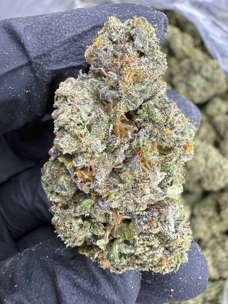 Cherry Pie Runtz - THCA BULK FLOWER - EXOTIC INDOOR