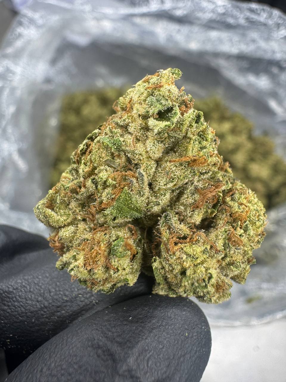 Cherry Pie - THCA Flower - Sungrown Top Cut